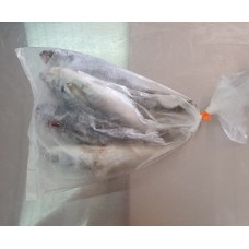 FROZEN THOMPSON 1KG