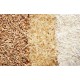 Rice, Grains & Maize