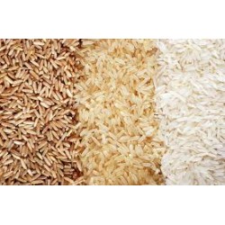 Rice, Grains & Maize